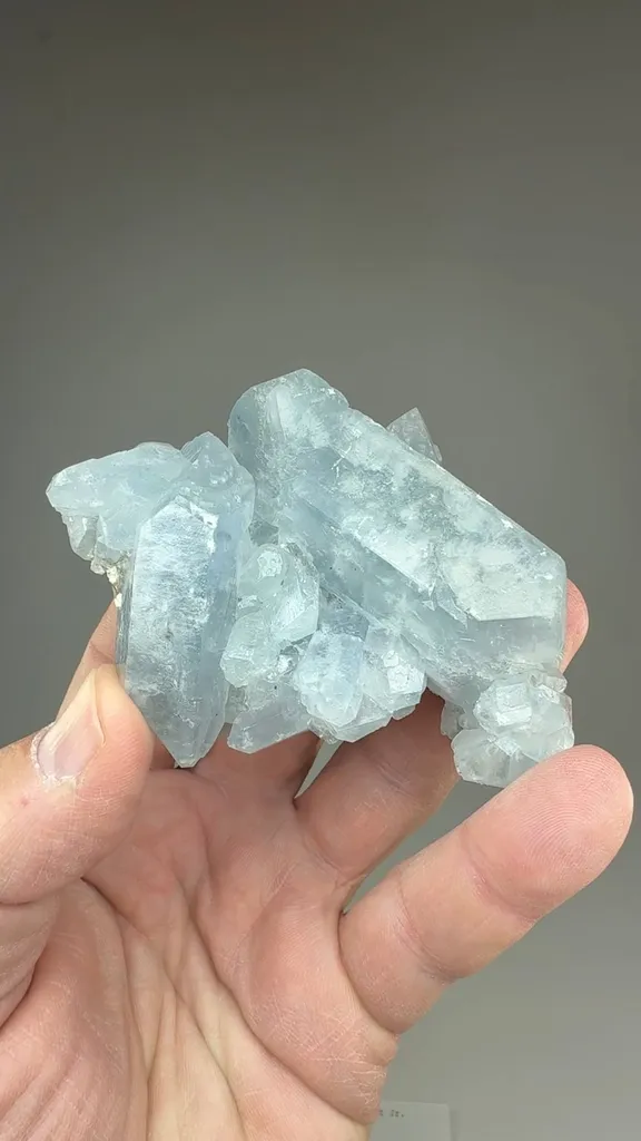 Celestine - image 2