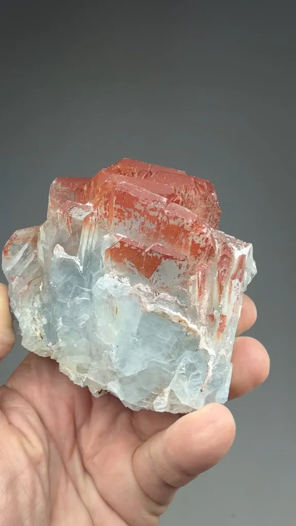 Celestine - image 2