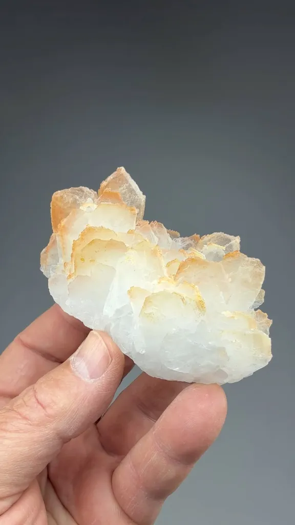 Celestine - image 2