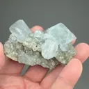 Celestine - image 2