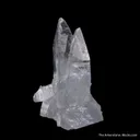 Celestine - image 2