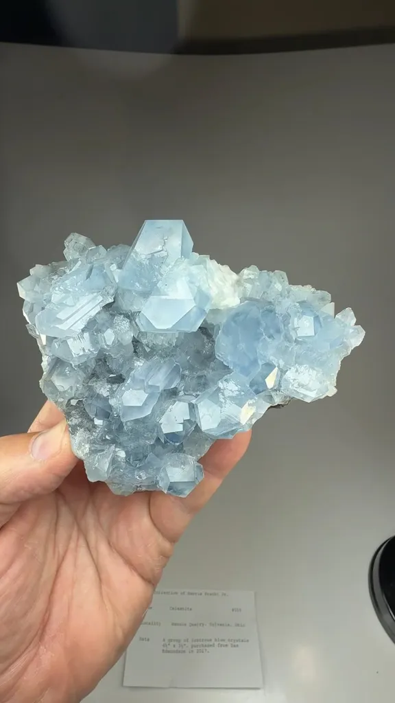 Celestine - image 2