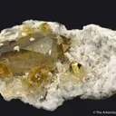 Celestine - image 2