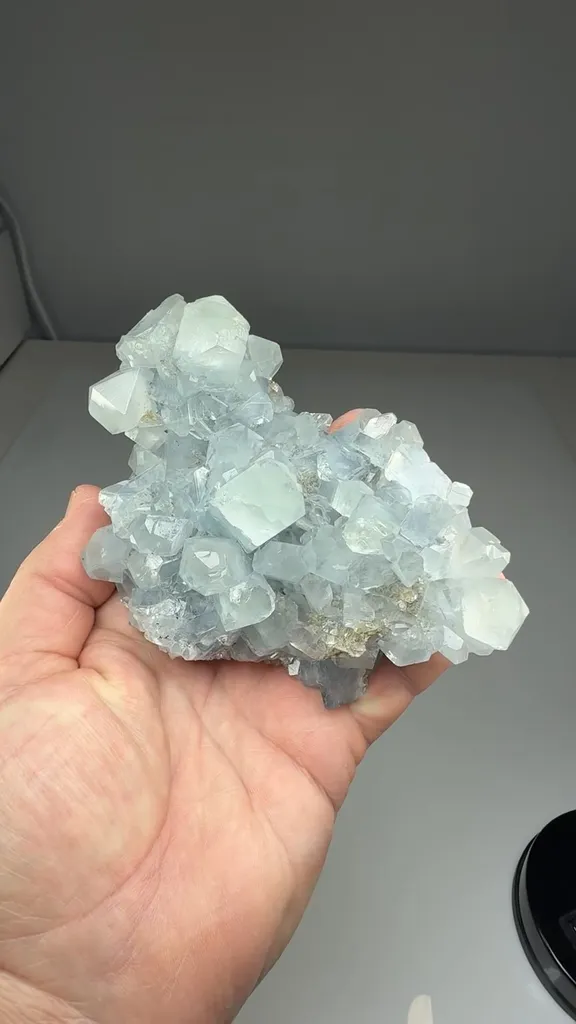 Celestine - image 2