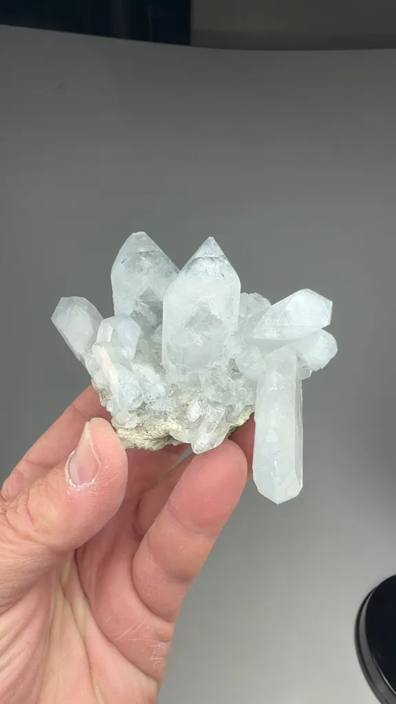 Celestine - image 2