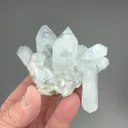 Celestine - image 2