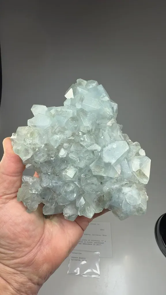 Celestine - image 2