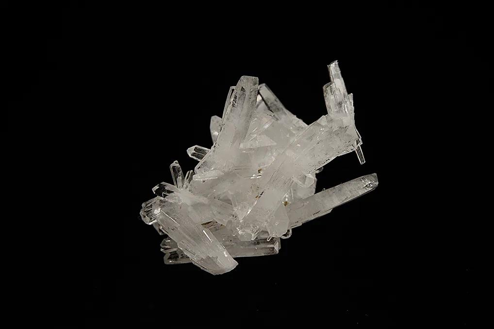 Celestine - image 2