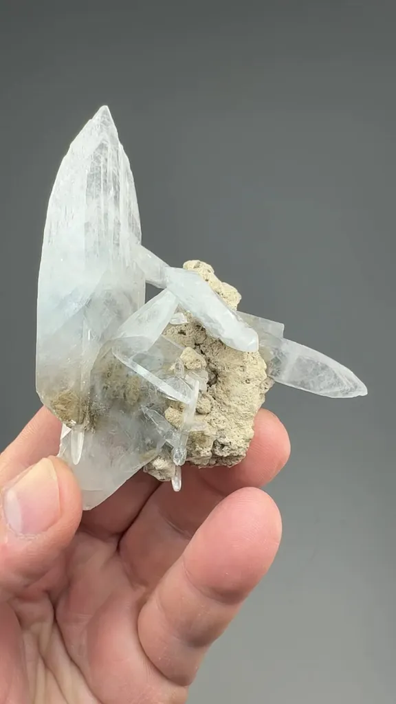 Celestine - image 2
