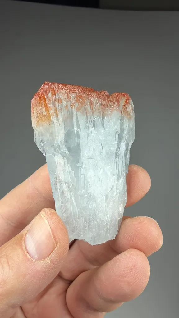 Celestine - image 2