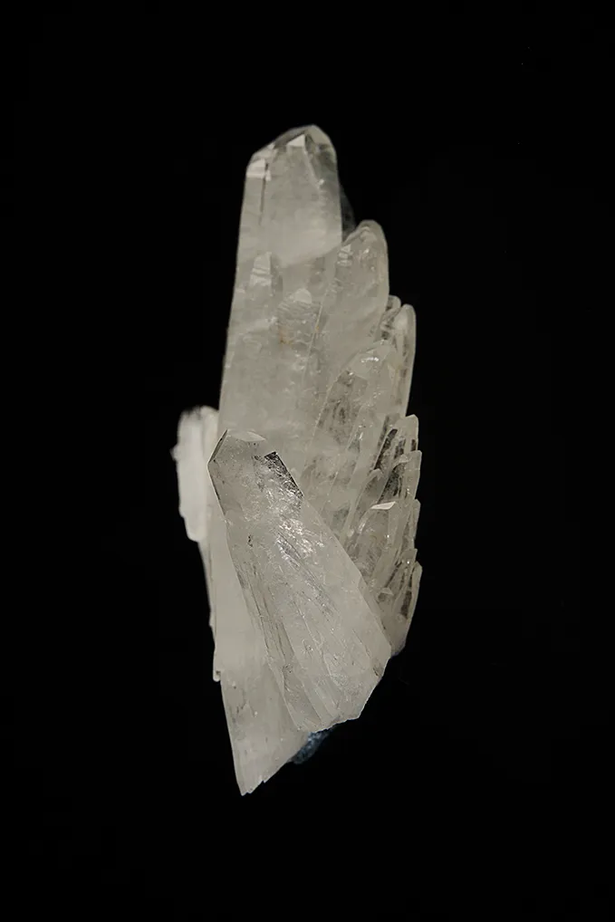 Celestine - image 4