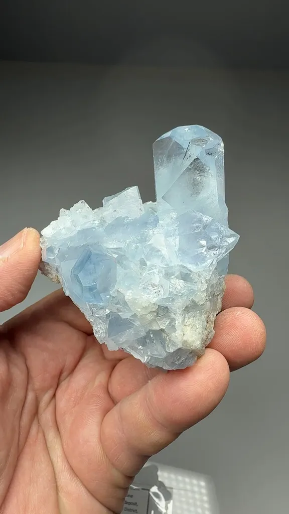 Celestine - image 2
