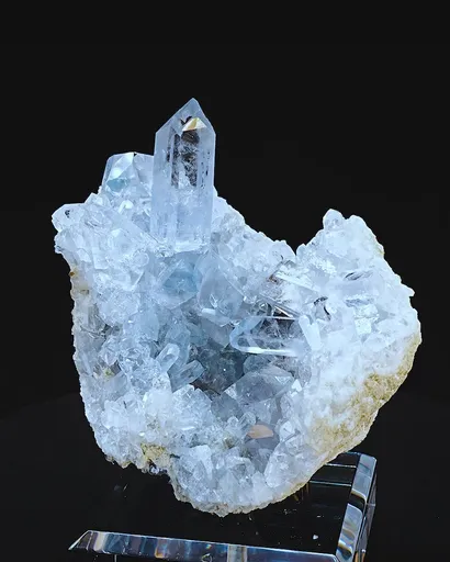 specimen video