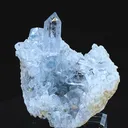 specimen video