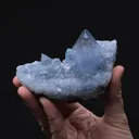 Celestine - image 2