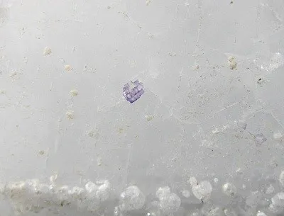 Celestine, Fluorite - image 2