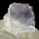 Celestine, Fluorite - image 2