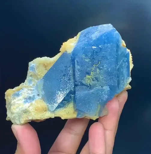 specimen video