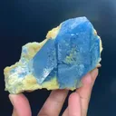 specimen video