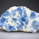 Celestine from Afghanistan - image 1