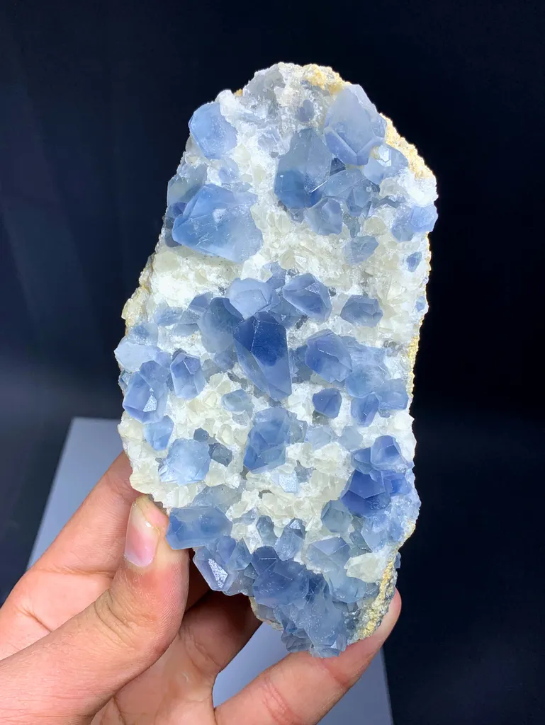 Celestine from Afghanistan - image 8