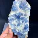 Celestine from Afghanistan - image 8