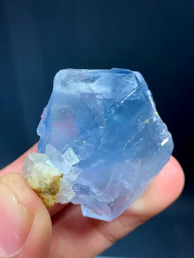 specimen video