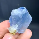 Celestine from Afghanistan - image 7