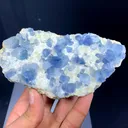 Celestine from Afghanistan - image 9