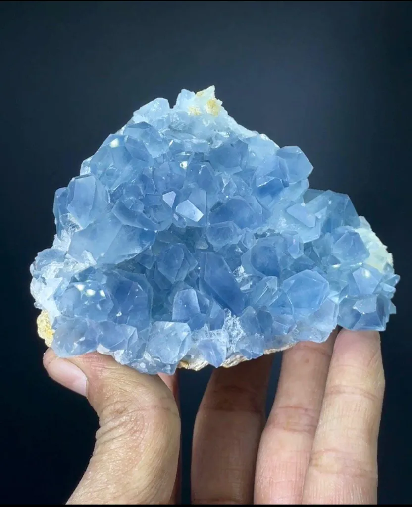 Celestine from Afghanistan image