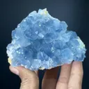 Celestine from Afghanistan - image 1