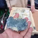 Celestine from Afghanistan - image 3