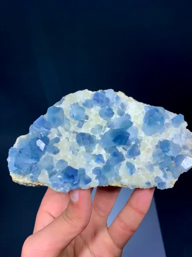 specimen video