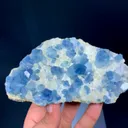 specimen video