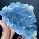 Celestine from Afghanistan - image 3