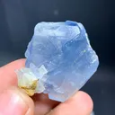 Celestine from Afghanistan - image 4
