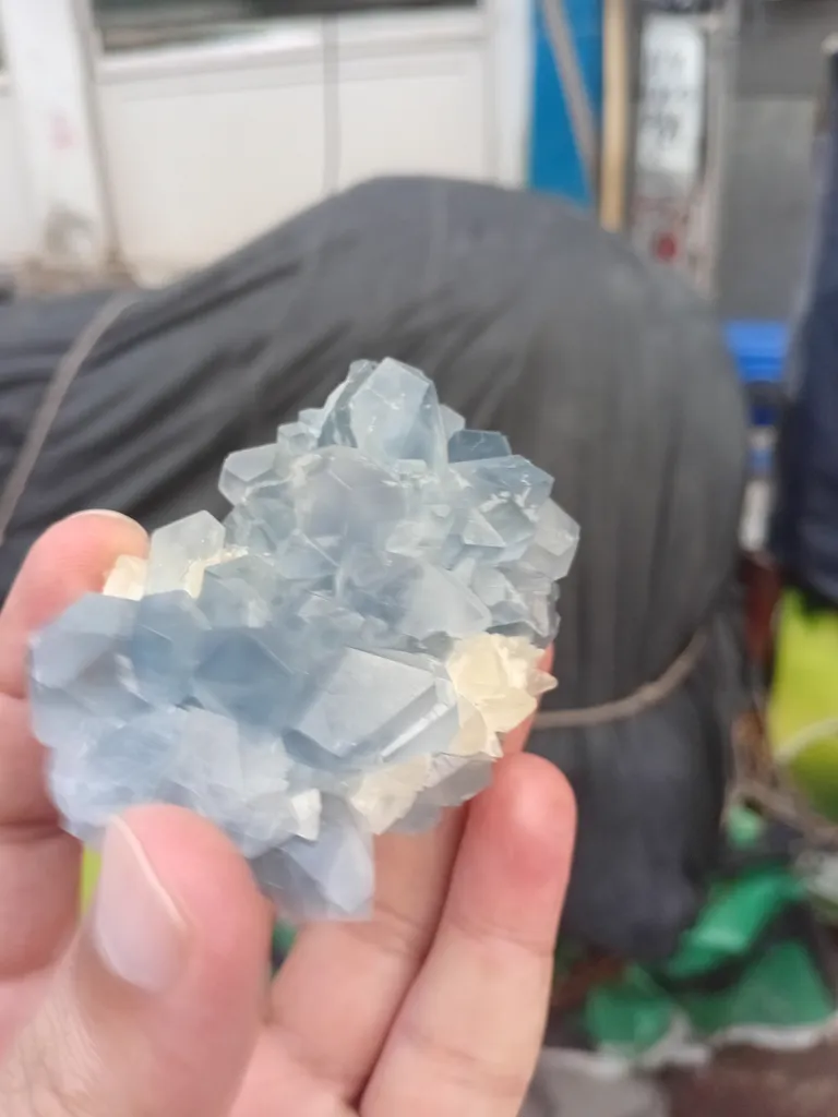 Celestine from Afghanistan - image 2