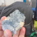 Celestine from Afghanistan - image 2