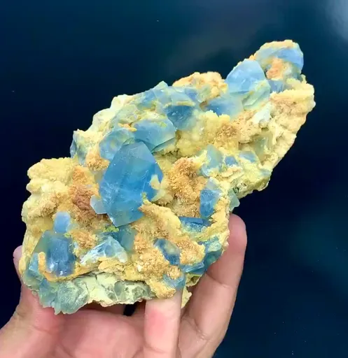 specimen video