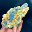 specimen video