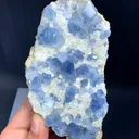 Celestine from Afghanistan - image 7