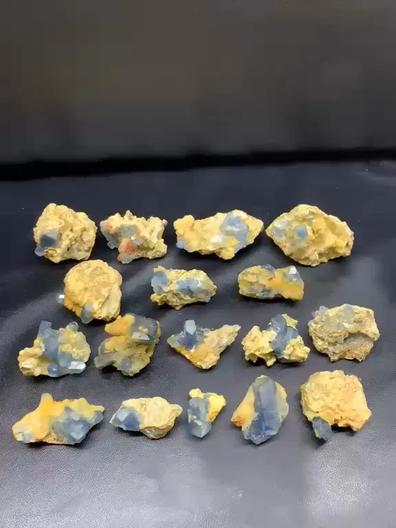 specimen video