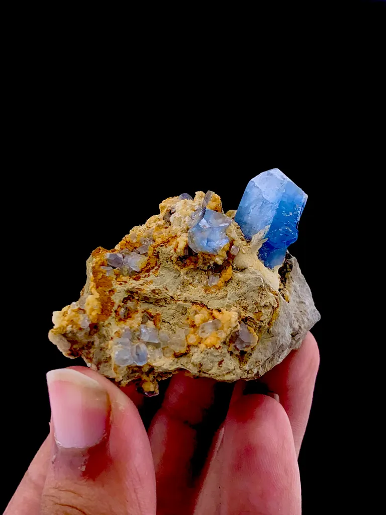 Celestine from Afghanistan - image 7