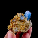 Celestine from Afghanistan - image 4