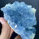 Celestine from Afghanistan - image 4