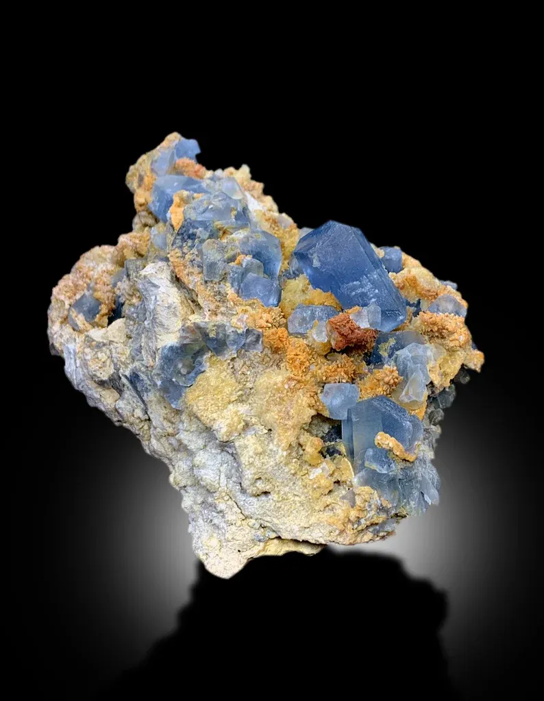 Celestine from Afghanistan - image 5
