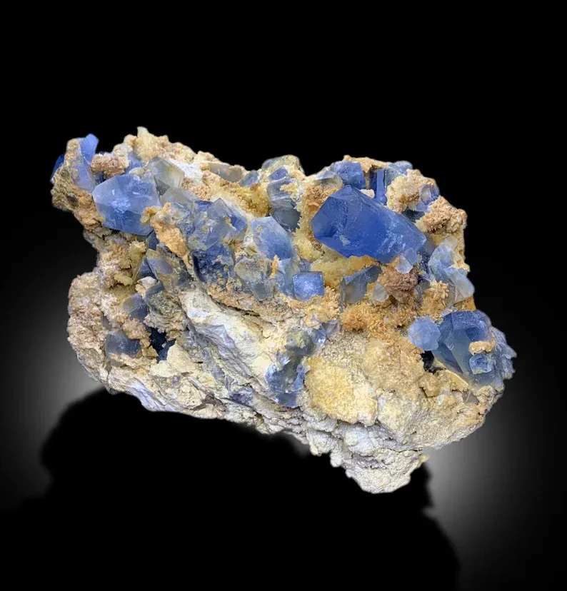 Celestine from Afghanistan - image 4