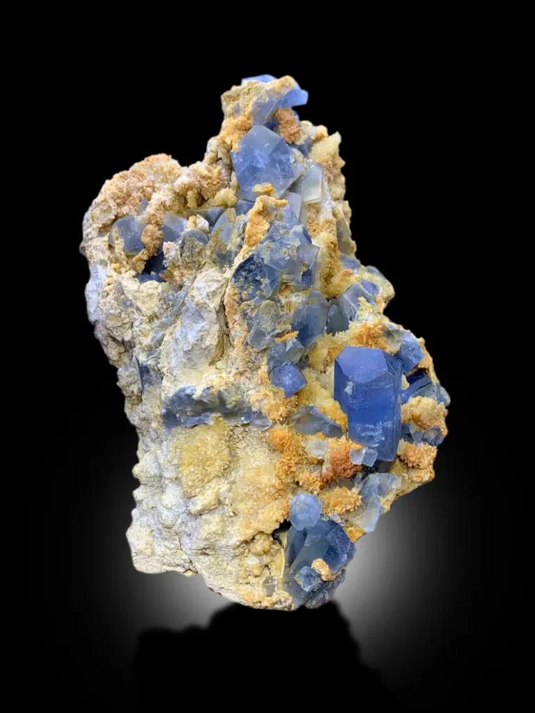 Celestine from Afghanistan image