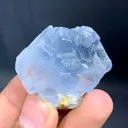 Celestine from Afghanistan - image 9
