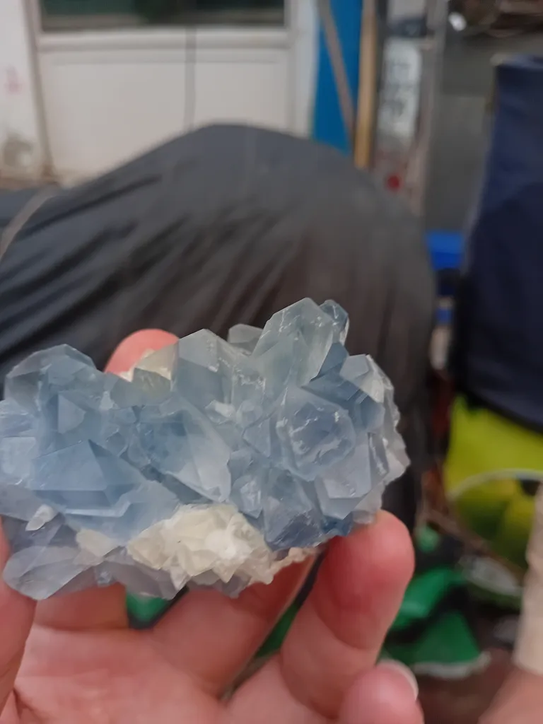 Celestine from Afghanistan image